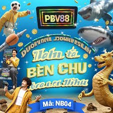 hiso33